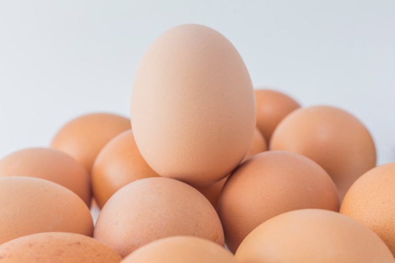 vajecny protein