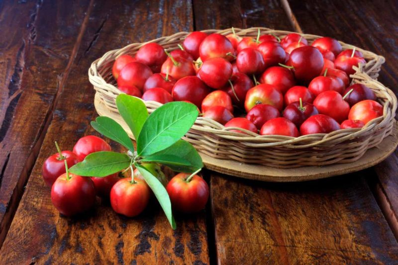 vitamin C zdroje acerola