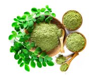 Moringa oleifera – Na čo je dobrá? + (13 účinkov) moringa