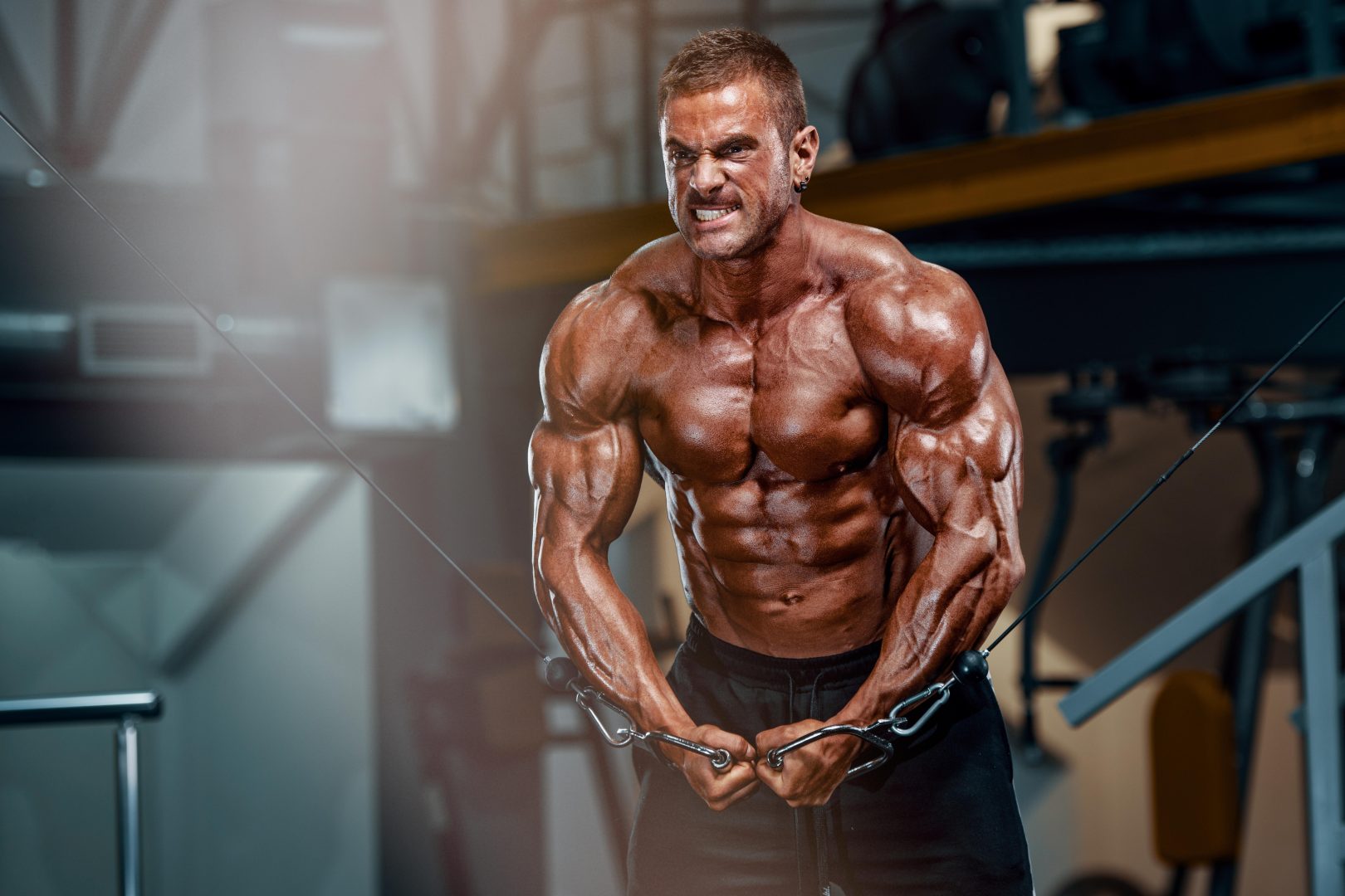 Bodybuilder